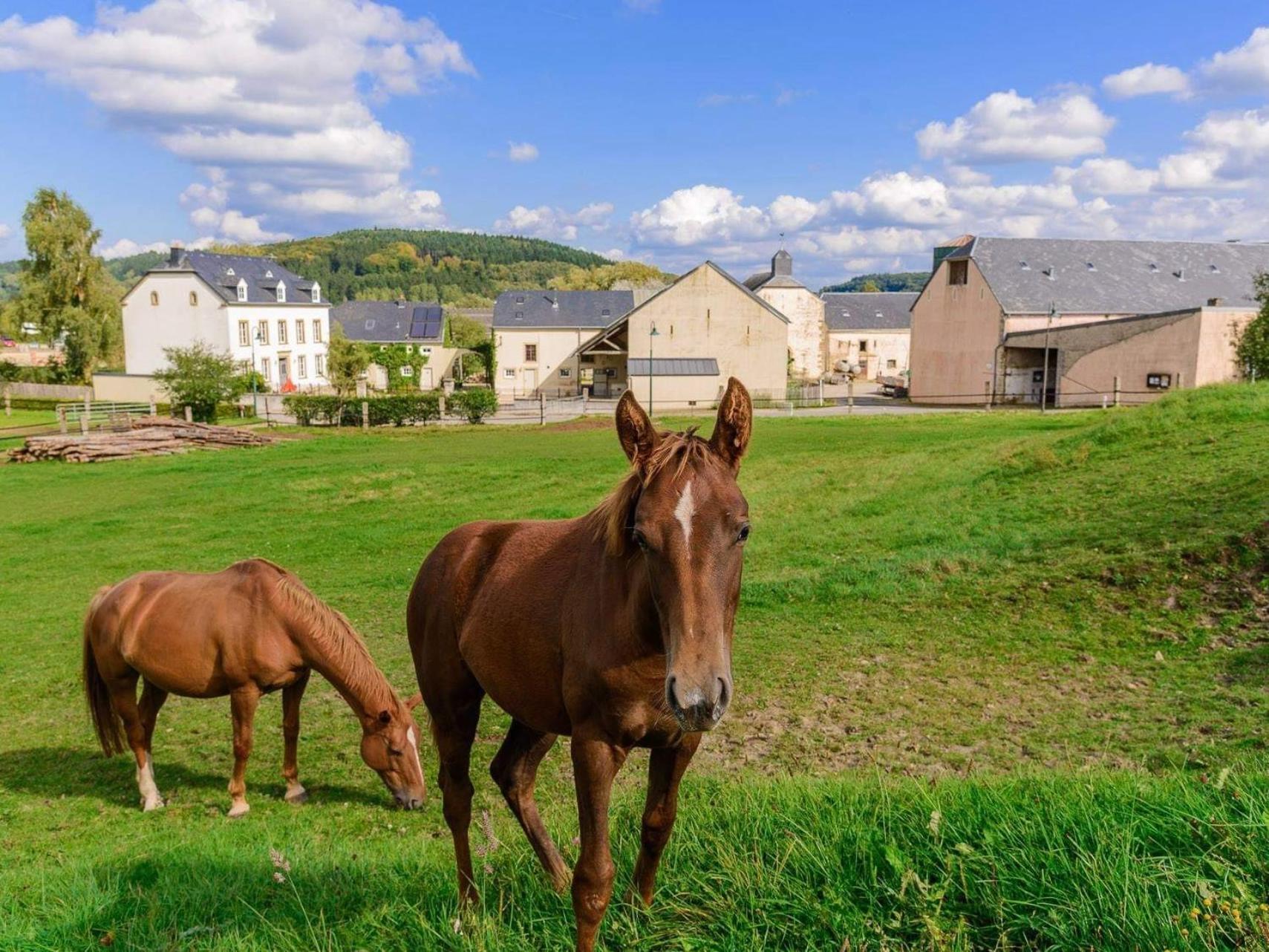 Cottage House Weyer - Mare&Filly Room Eksteriør billede